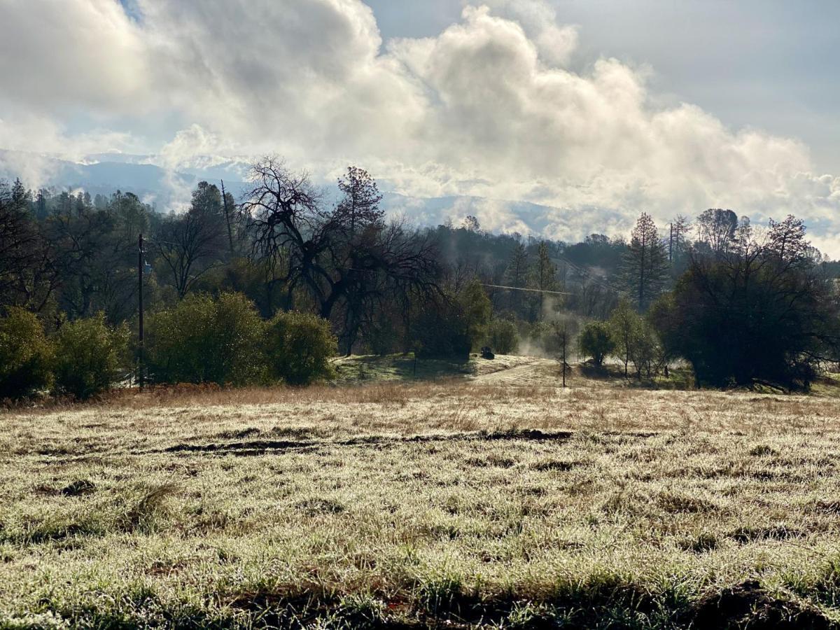 Pousada Family By Casa Oso With Views And Ahwahnee